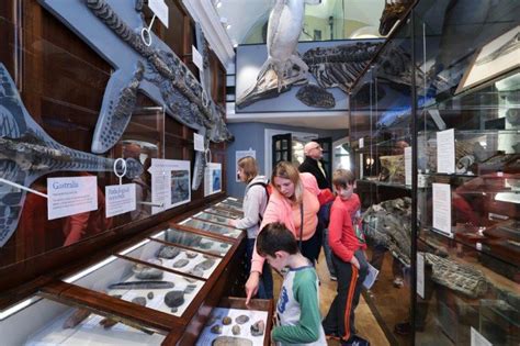 Fossil Walk Guide - Lyme Regis Museum - AIM - Association of ...