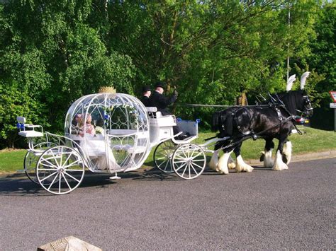 Cinderella Carriage Hire for Weddings-Brisbane, Gold Coast