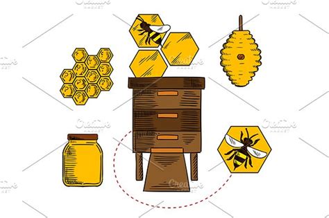 Apiary design with bees | Graphics ~ Creative Market