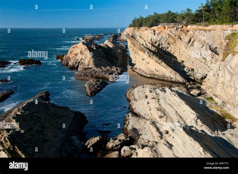 Coast bluff, Shore Acres State Park, Oregon Stock Photo - Alamy