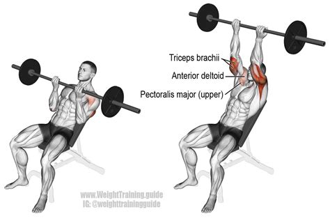 Incline reverse grip barbell bench press. A compound push exercise. See website to learn why ...