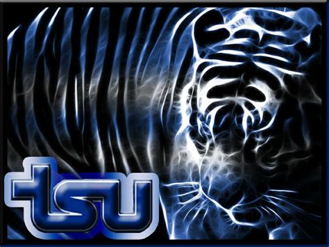 9 best TSU images on Pinterest | Big cats, School spirit and Tigers