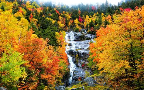Autumn Mountain Stream Wallpapers - Top Free Autumn Mountain Stream Backgrounds - WallpaperAccess