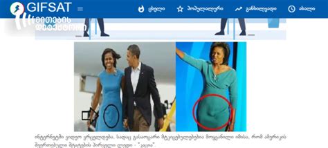 How Michelle Obama’s dress became a source for conspiracies? | mythdetector.ge