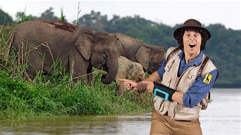 Andys Safari Adventures - Series 1: 40. Andy and the Asian Elephants - Audio Described - BBC iPlayer