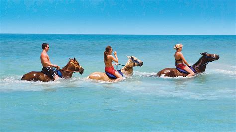 Horseback Riding in Punta Cana - TravelSearch Guru