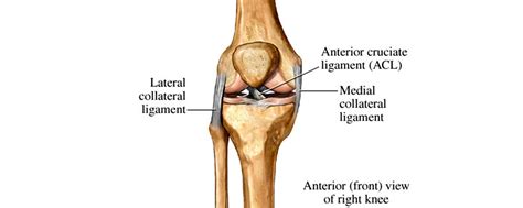 ACL / LCL / MCL Rehabilitation & Treatment North London