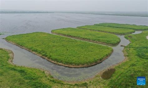 Scenery of Baiyangdian Lake in Xiongan New Area, N China's Hebei - Global Times