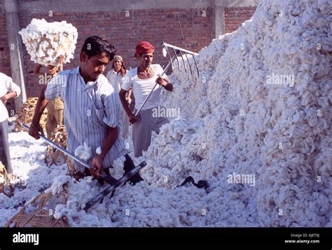 workers in cotton mill, Gujarat, India Stock Photo - Alamy