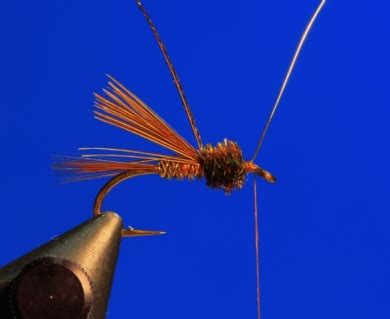 Pheasant Tail - Fly Tying tutorials | Fly dreamers