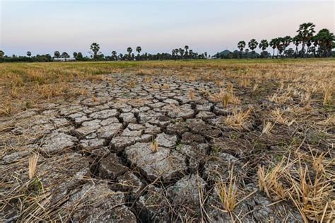 Despite PM Modi’s assurance, land degradation, desertification increasing