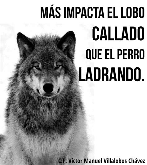 Más impacta el lobo callado que el perro ladrando. Wolf Quotes, Me ...