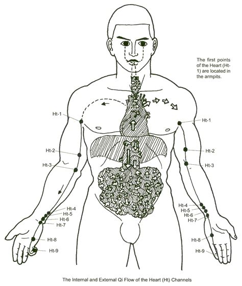 The Heart Meridian, The Emperor Over All Organs – | Acupressure, Shiatsu massage acupressure ...