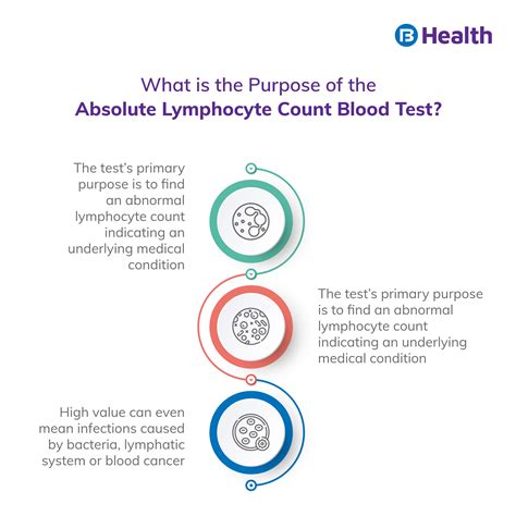 Absolute Lymphocyte Count Test: Normal Range, Purpose, Preparation