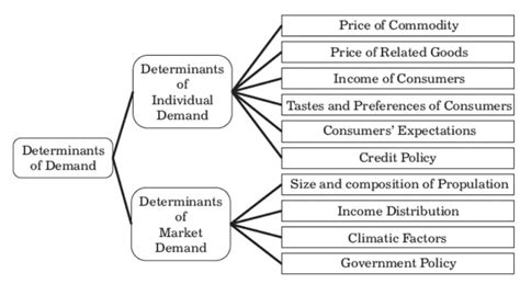 10 Determinants Of Demand: What, Definition, Example