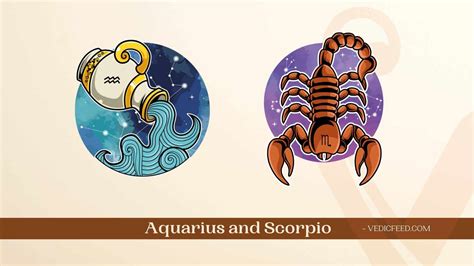 Aquarius and Scorpio Compatibility Based on Vedic Astrology