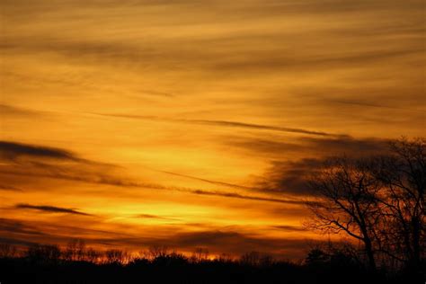 A View of a Beautiful Golden Sunset · Free Stock Photo