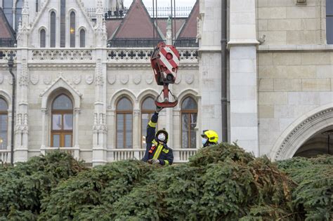 The Christmas tree of Hungary established near the Parliament - PHOTOS ...