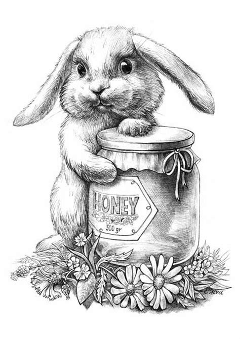 Bunny with jar of honey | Animal drawings, Bunny coloring pages, Animal ...