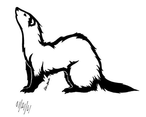 Ferret Tattoo 2 by Keyore-chan on deviantART | Ferret tattoo, Ferret, Cute ferrets