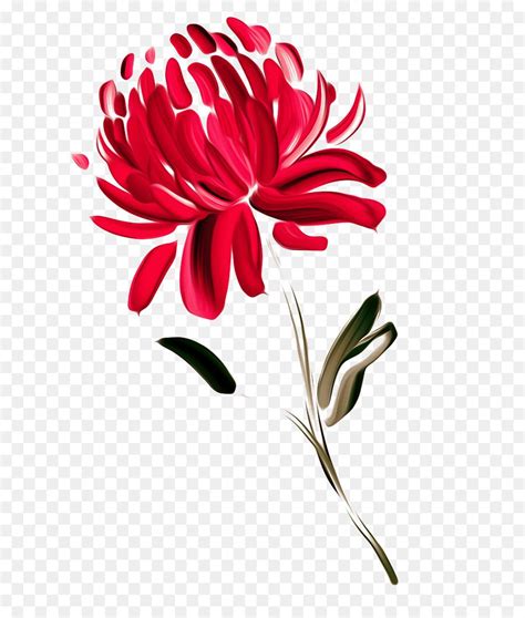 Australia Flower Painting Waratah Chrysanthemum - FIG painted red ...