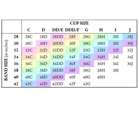 Bra Cup Size Comparison Chart