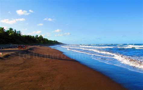 Tortuguero beach | Tortuguero Infocenter | Flickr