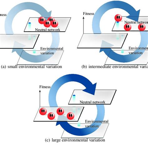 Distribution of individuals due to environmental variation | Download ...