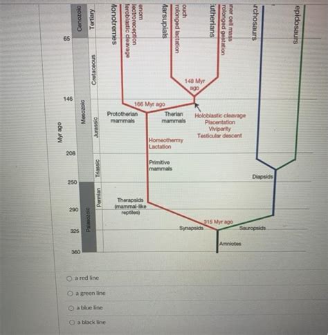 Solved In the following phylogenetic tree, the unique | Chegg.com