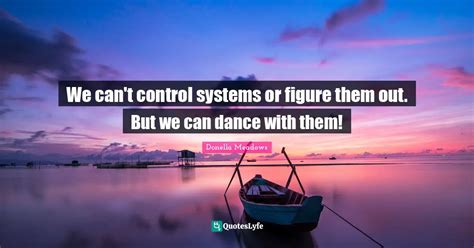 We can't control systems or figure them out. But we can dance with the ...