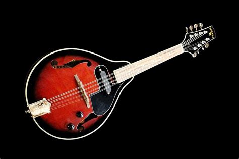 Top 5 Best Clip On Tuners For Mandolin | Music Store Central Reviews