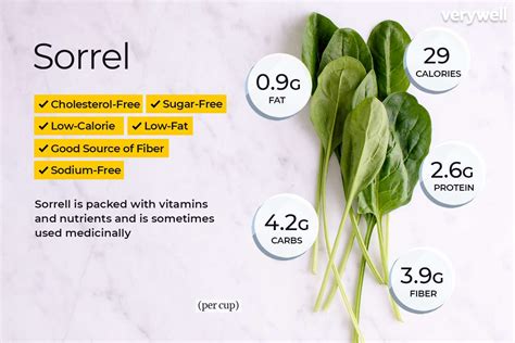 Sorrel Benefits, Side Effects, and Preparations