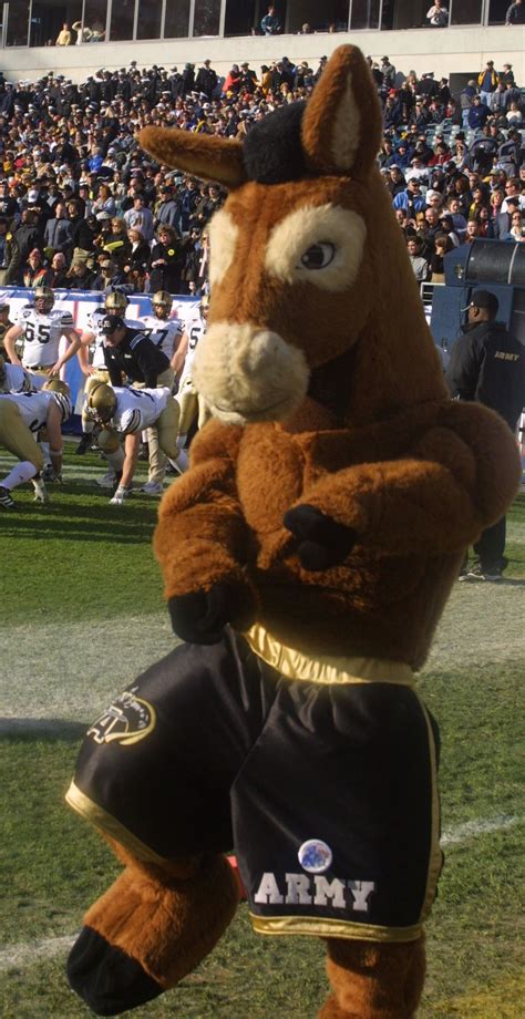 Army Navy Mascots | Mascot, Army vs navy, Go navy