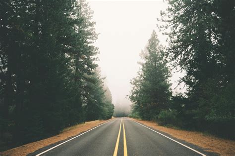 Free stock photo of forest, highway, road