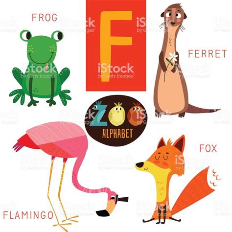 Cute zoo alphabet in vector.F letter. Funny cartoon animals ...