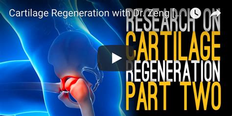 Cartilage-Regeneration - Arthritis Research | Arthritis National Research Foundation