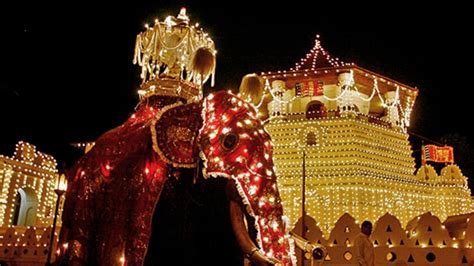 Sri Lanka: Tour highlights Kandy Esala Perahera festival - Los Angeles Times