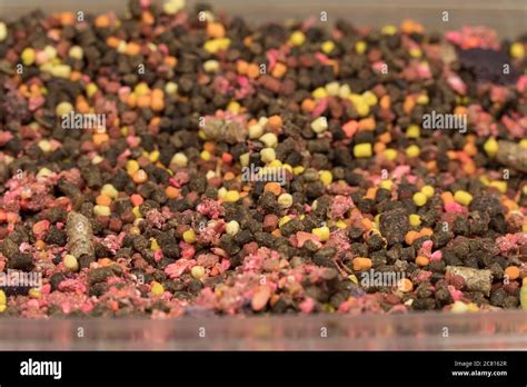 Mix fishing bait pellets close-up. Baits for carp Stock Photo - Alamy