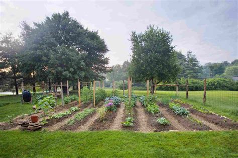 How to Start a Vegetable Garden in 9 Easy Steps