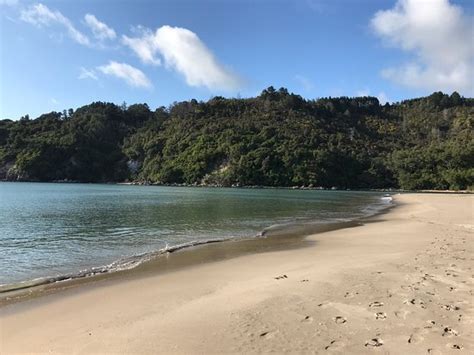 Whangamata Beach - 2019 All You Need to Know BEFORE You Go (with Photos) - TripAdvisor