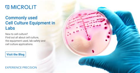 All You Should Know About Cell Culture, Techniques & Applications of Cell Culture