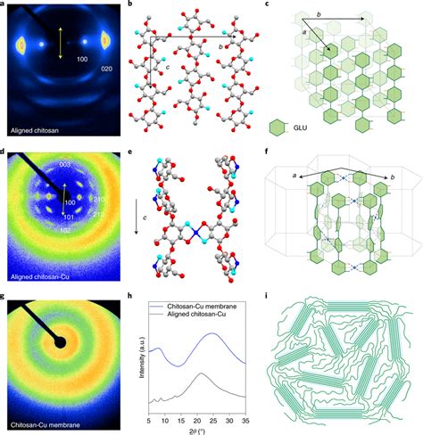 The crystalline structure of chitosan and chitosan-Cu a, The 2D X-ray... | Download Scientific ...