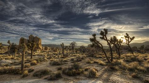 California Desert Wallpapers - Top Free California Desert Backgrounds - WallpaperAccess