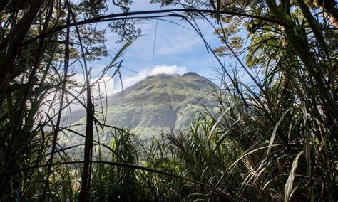 Mount Apo National Park - 1-Day Tour - Quick & Easy Booking with Traveloka, Your Lifestyle Superapp.