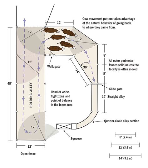 Create an Easy-to-Build Cattle Corral for Your Herd - Hobby Farms