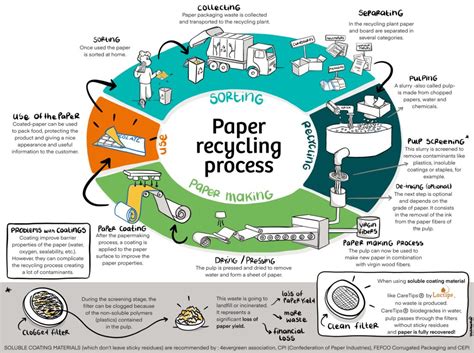 What is the paper recycling process? - Lactips