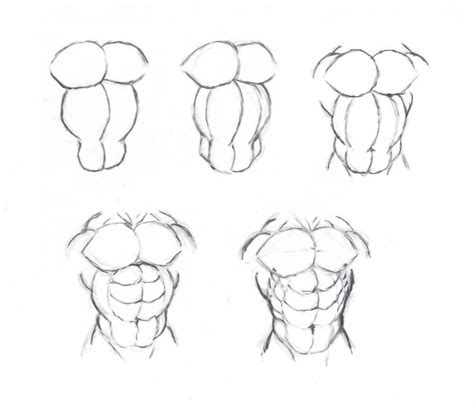 Draw muscle torso by krigg | Drawing reference poses, Anatomy drawing, Male body drawing