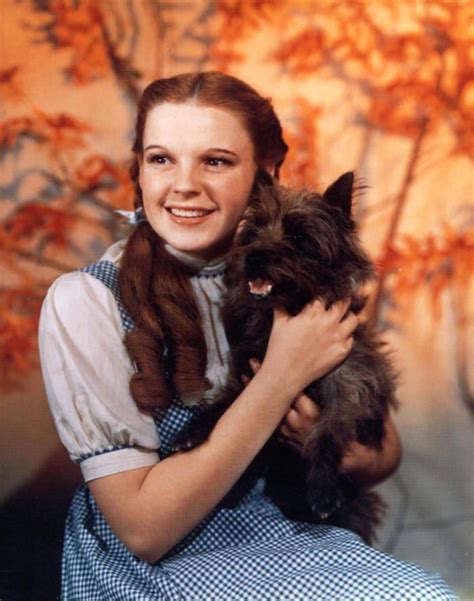 Worlds 5 Most Famous Rescue Dogs | Dorothy wizard of oz, Wizard of oz ...