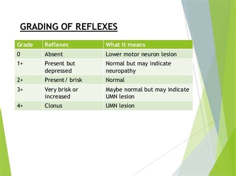 Deep Tendon Reflex Grading Scale