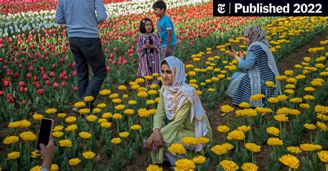 A Surge in Tourists in Restive Kashmir, but ‘No Mental Peace’ for ...